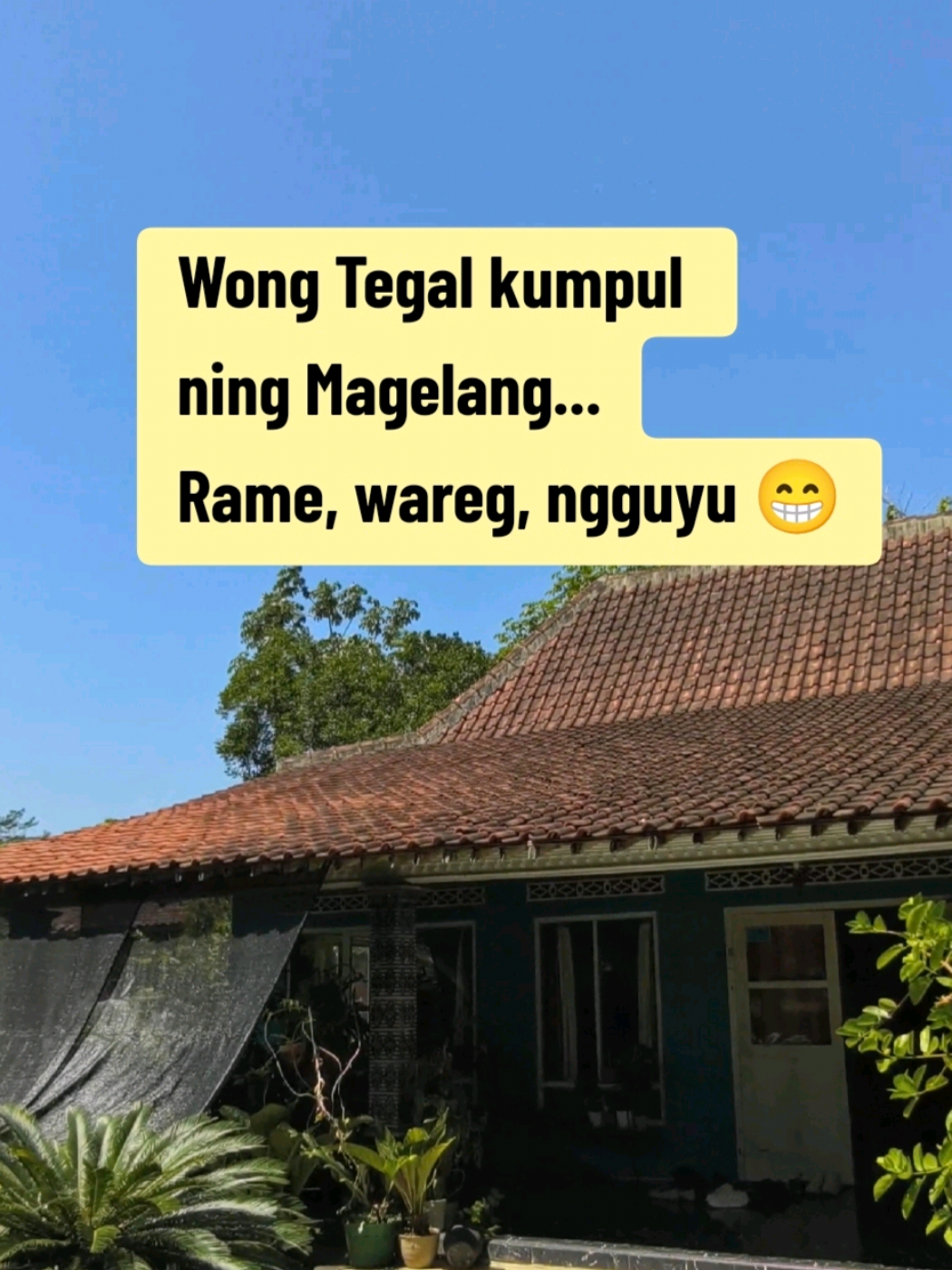@Moko