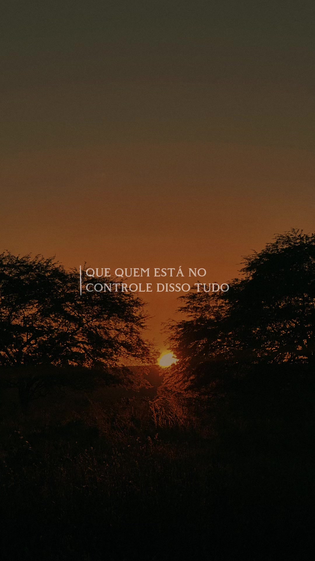 @Henrique Fagundes