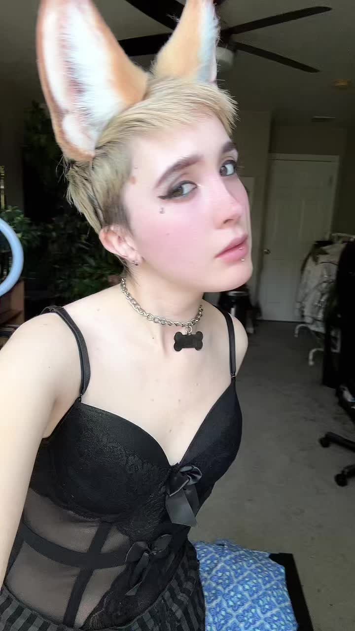 @Jinx! 🖤🐺✩⋆☾╶⃝⃤☽⋆✩🐺