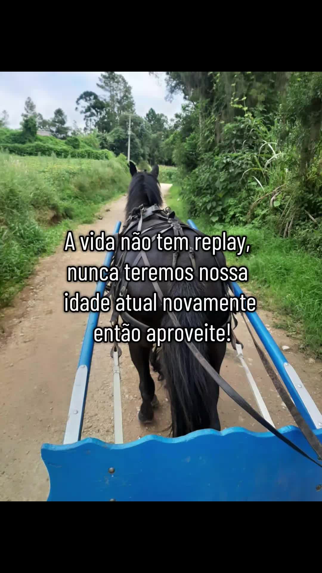 @Coisas da Ro&ccedil;a R&uacute;sticos