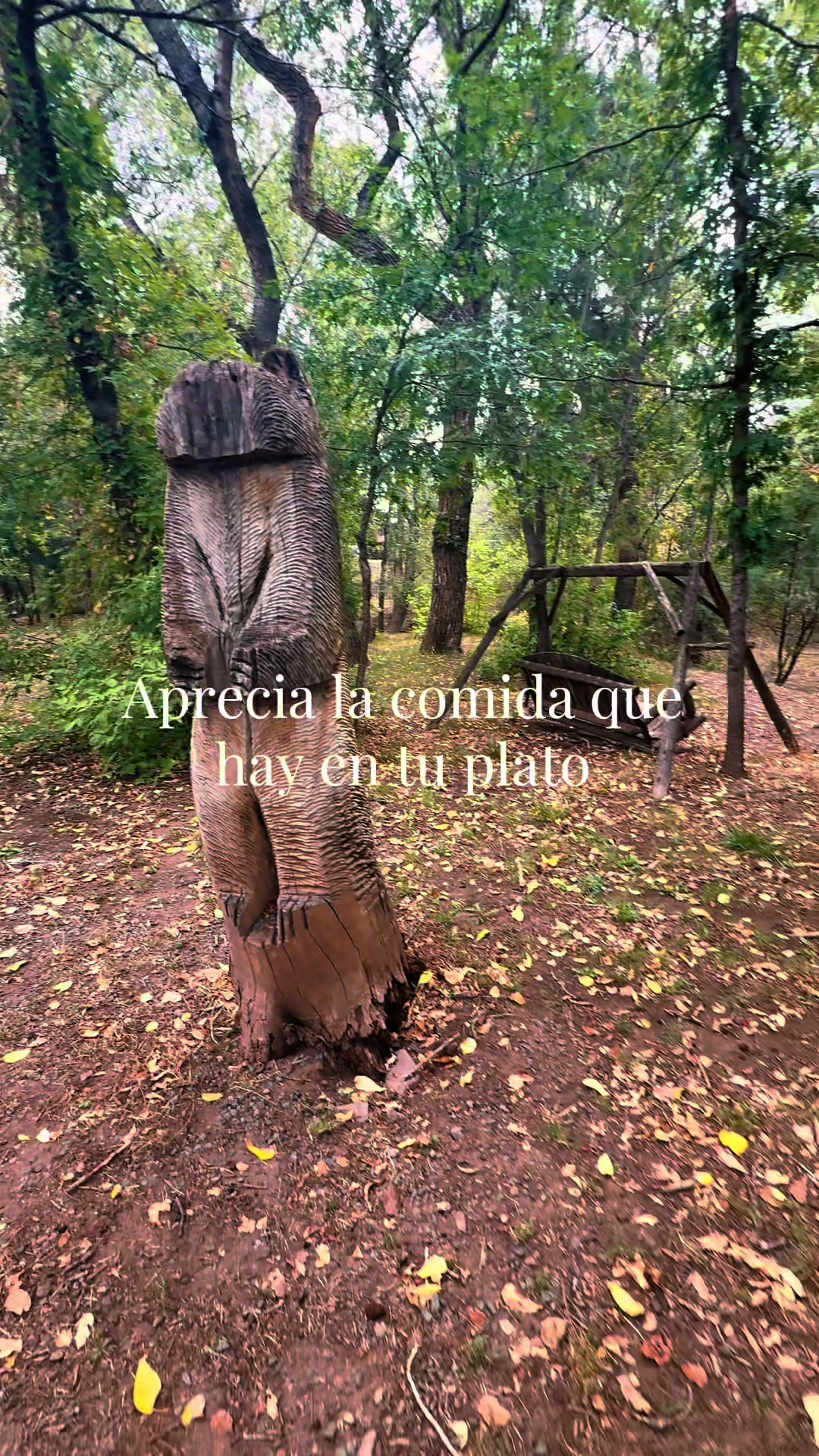 @🏛️🔱BereDOtto🛡️🌵♟️🎧🐲