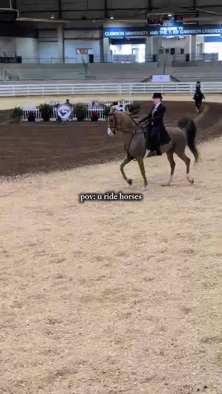 @saddleseat_4life