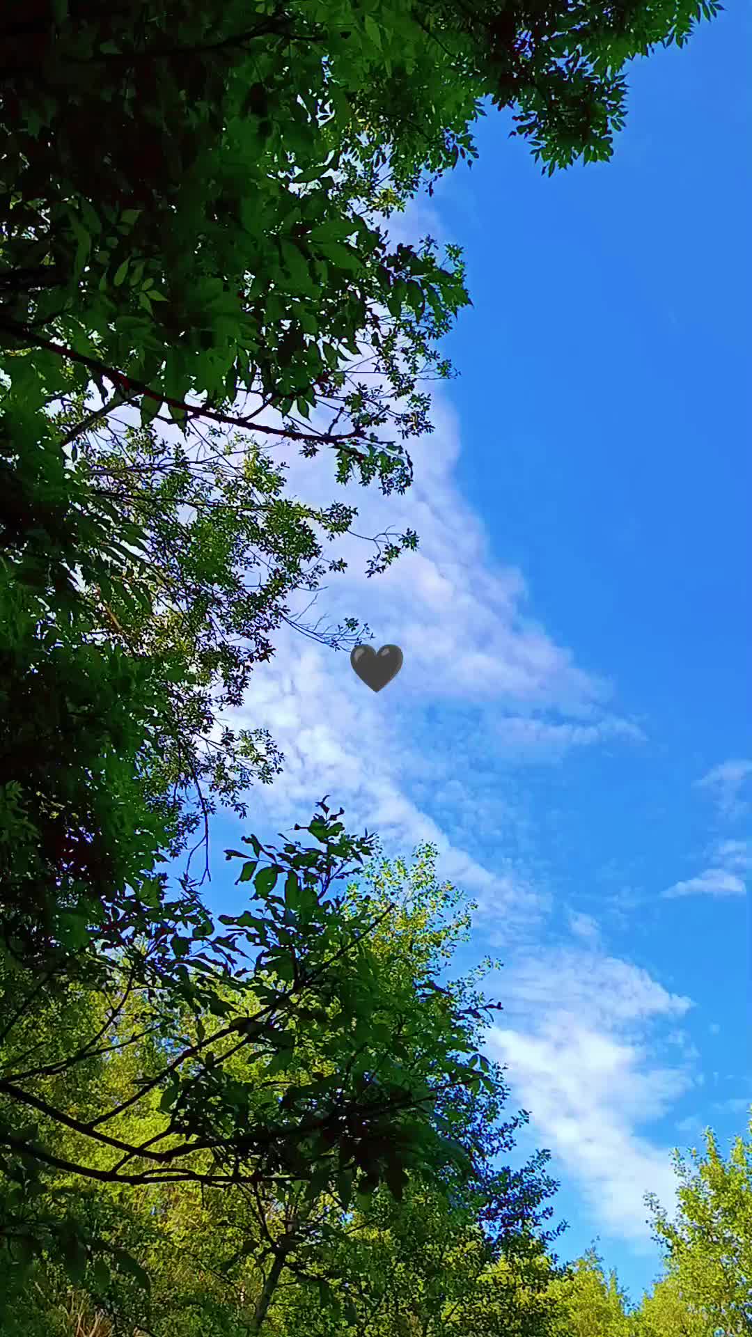 @belochka🐿️