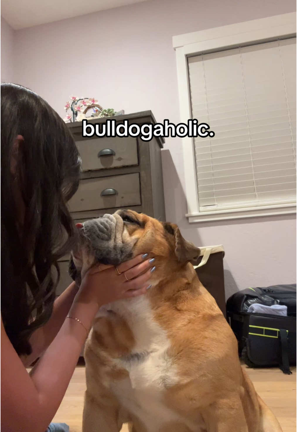 @Reggie the Bulldog