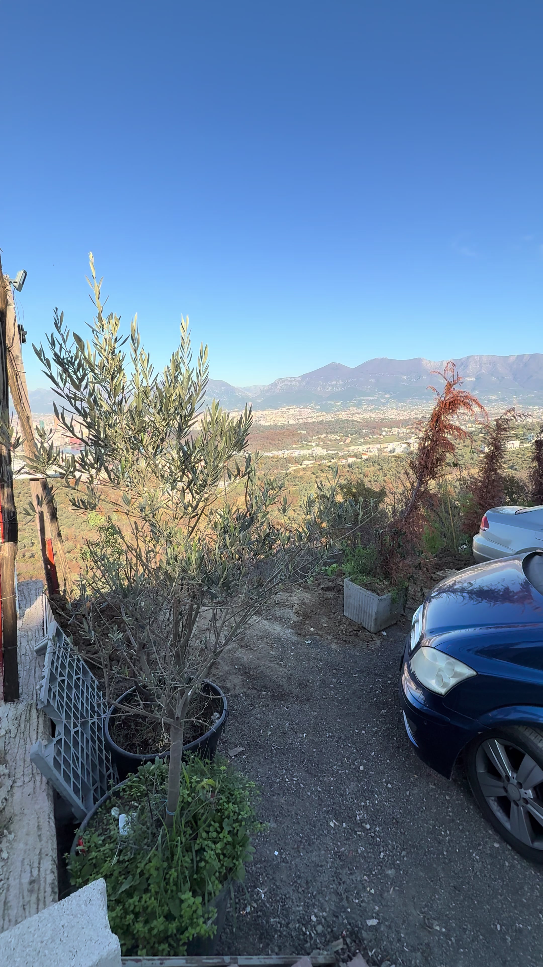 @Te pamja