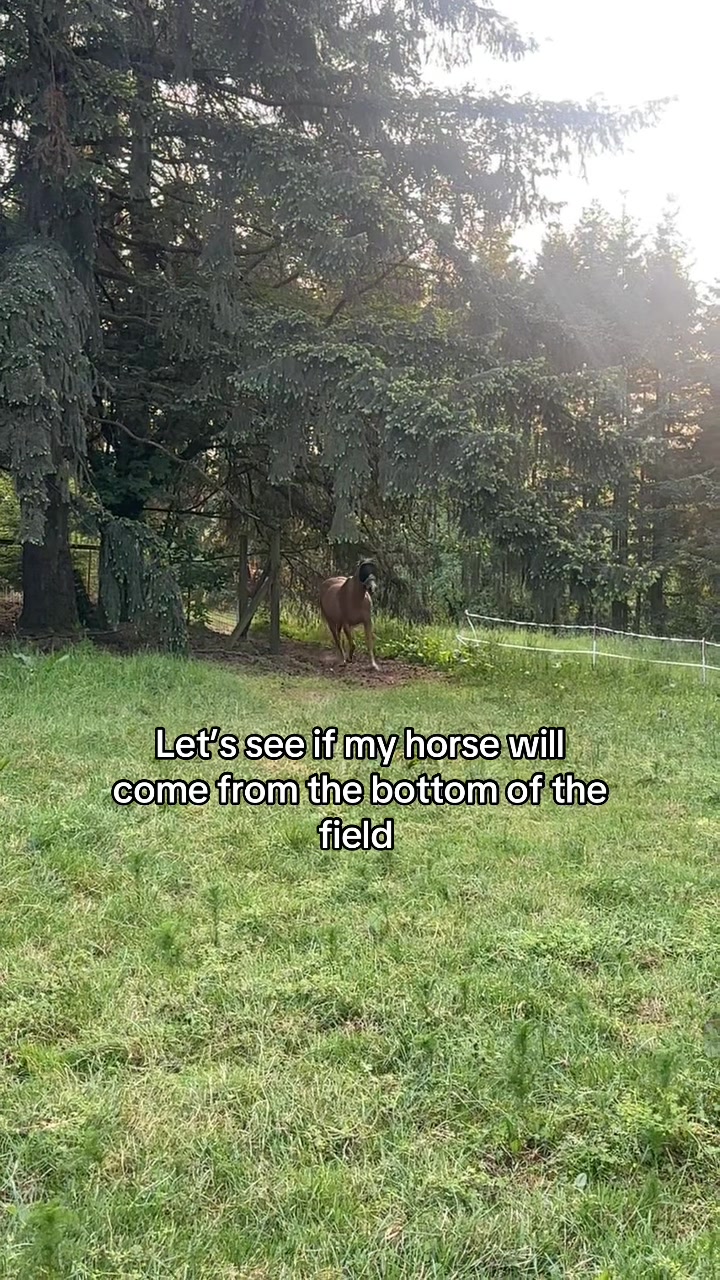 @SAMANTHA | BARREL RACING