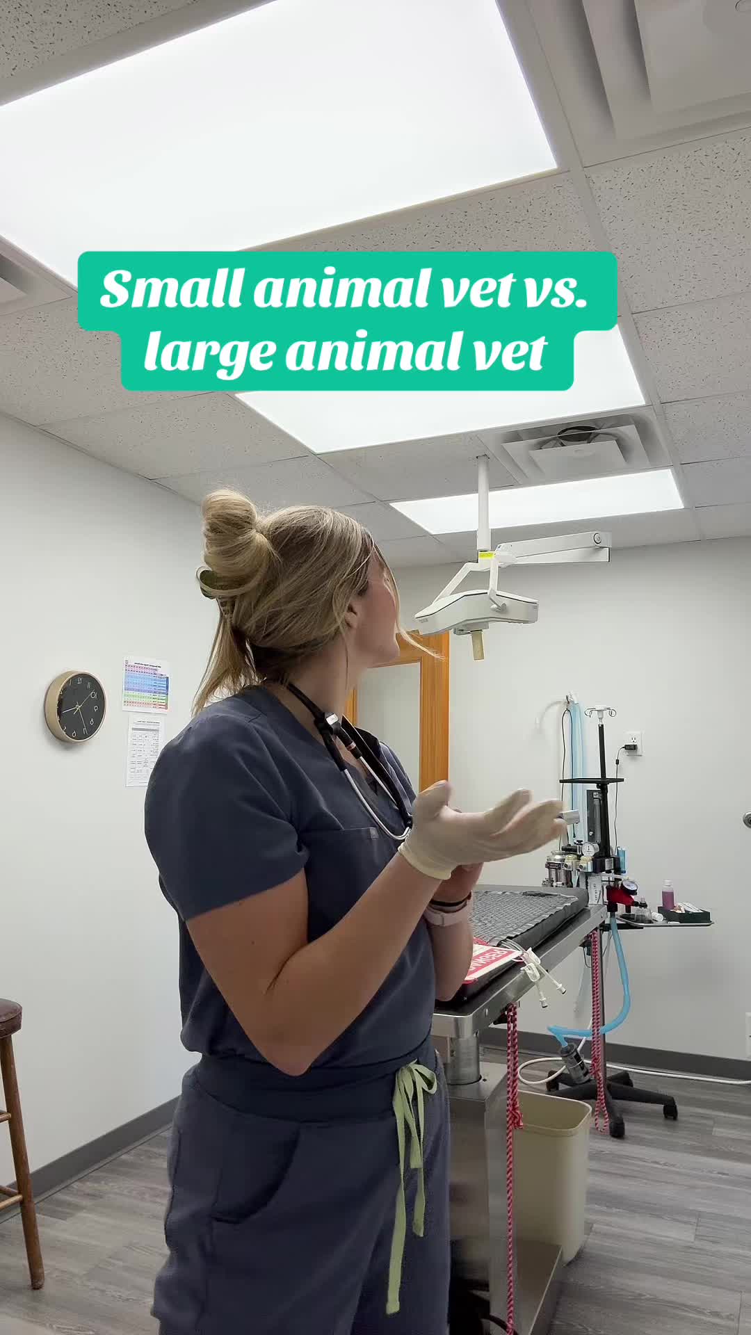 @dr.barbie.dvm