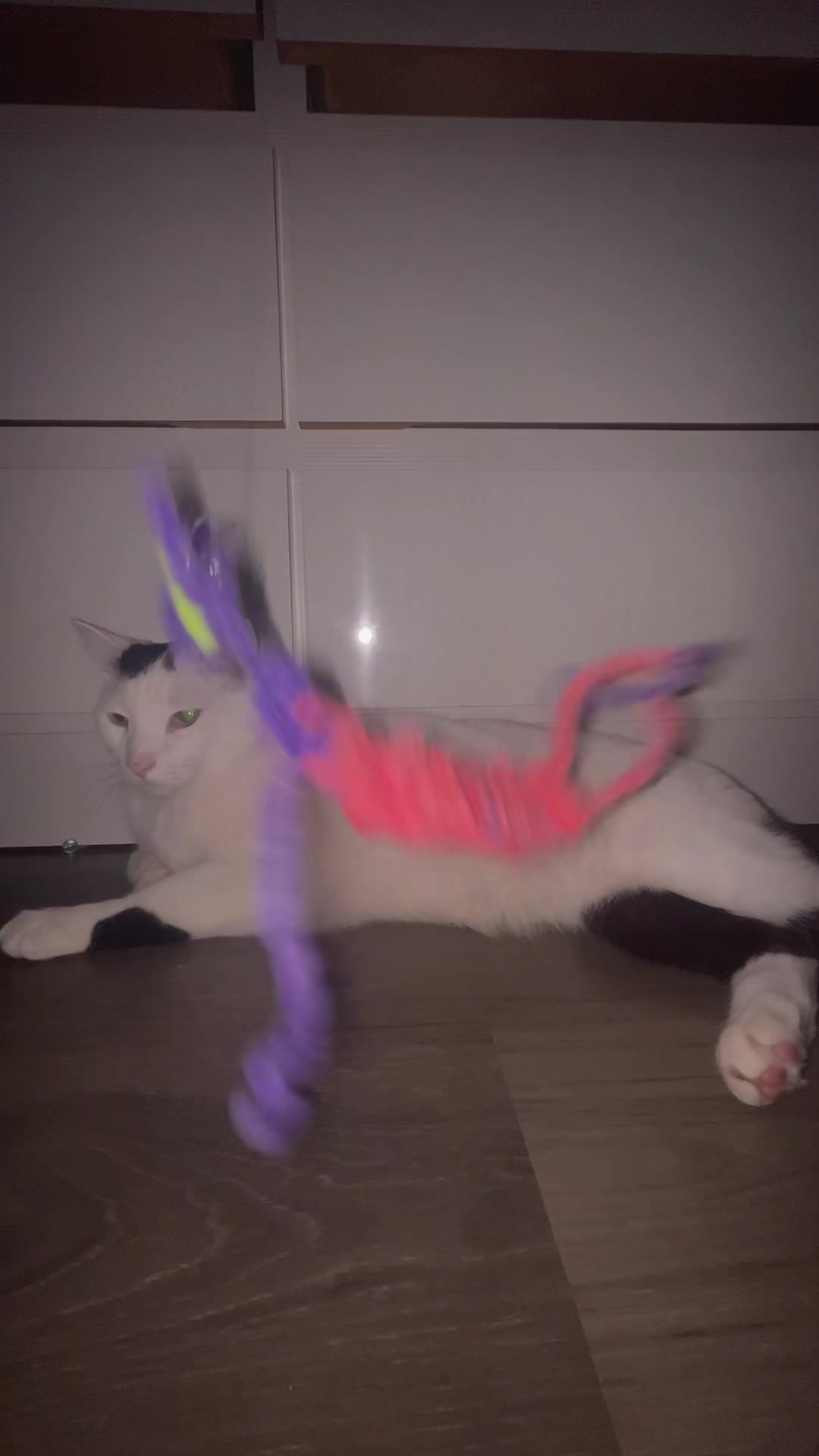 @pompompounder