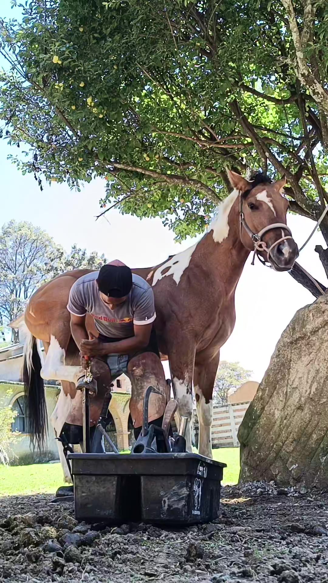 @Carlos Guzm&aacute;n 🔨🐎