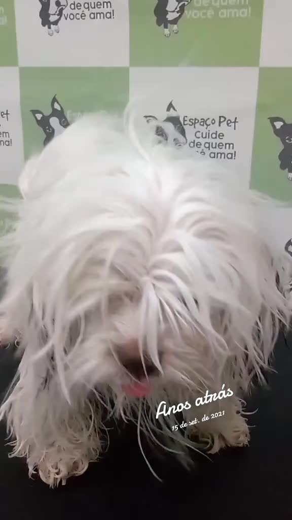 @MilaCardoso