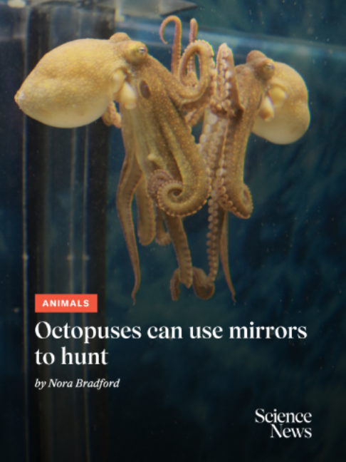 @Science News