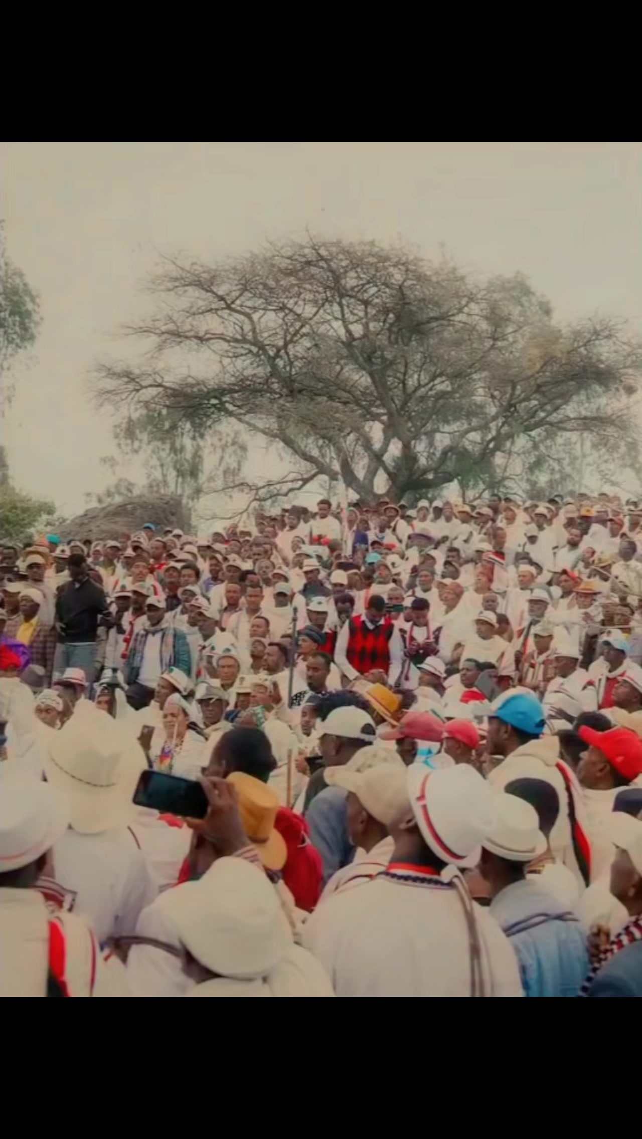 @Shimallis Abdisa Parody
