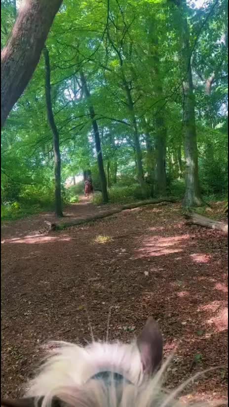 @Smillatier