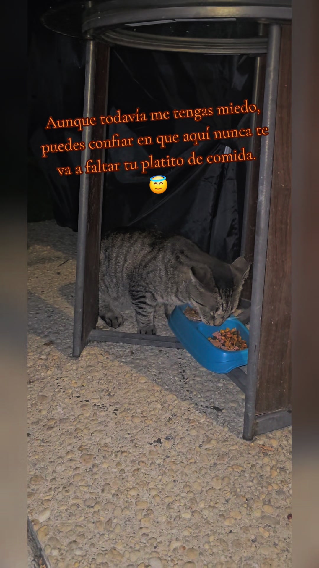 @🇲🇽Guli.Carrada 🐈&zwj;⬛