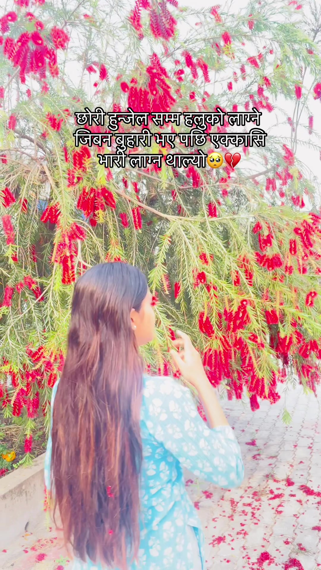 @Ayushu🤪