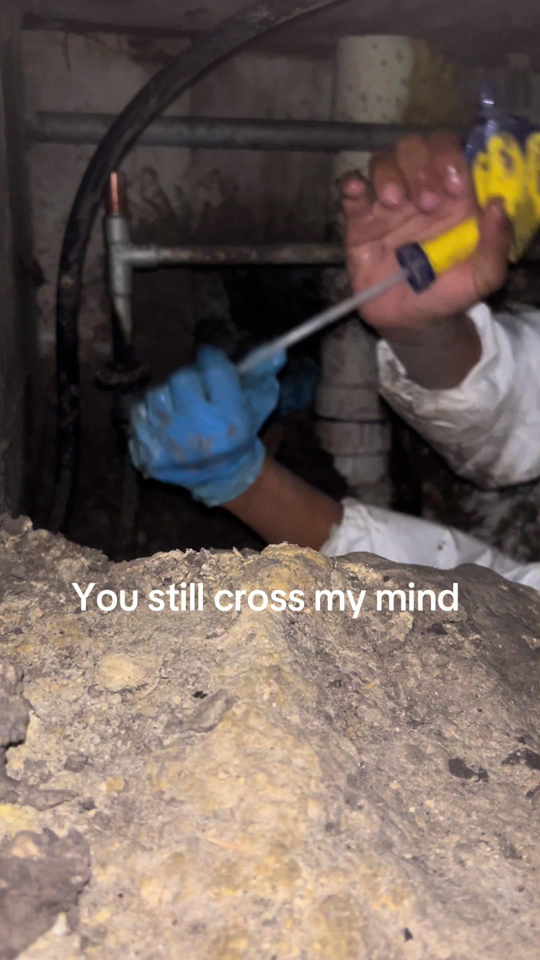 @Joseph Martinez