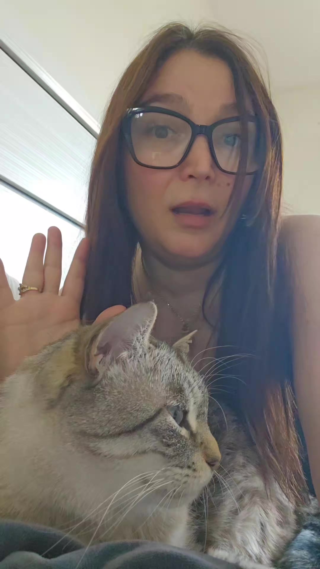 @wonderwoman Cats
