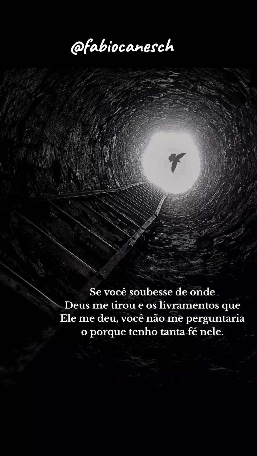 @Fábio caneschi de Oliveira