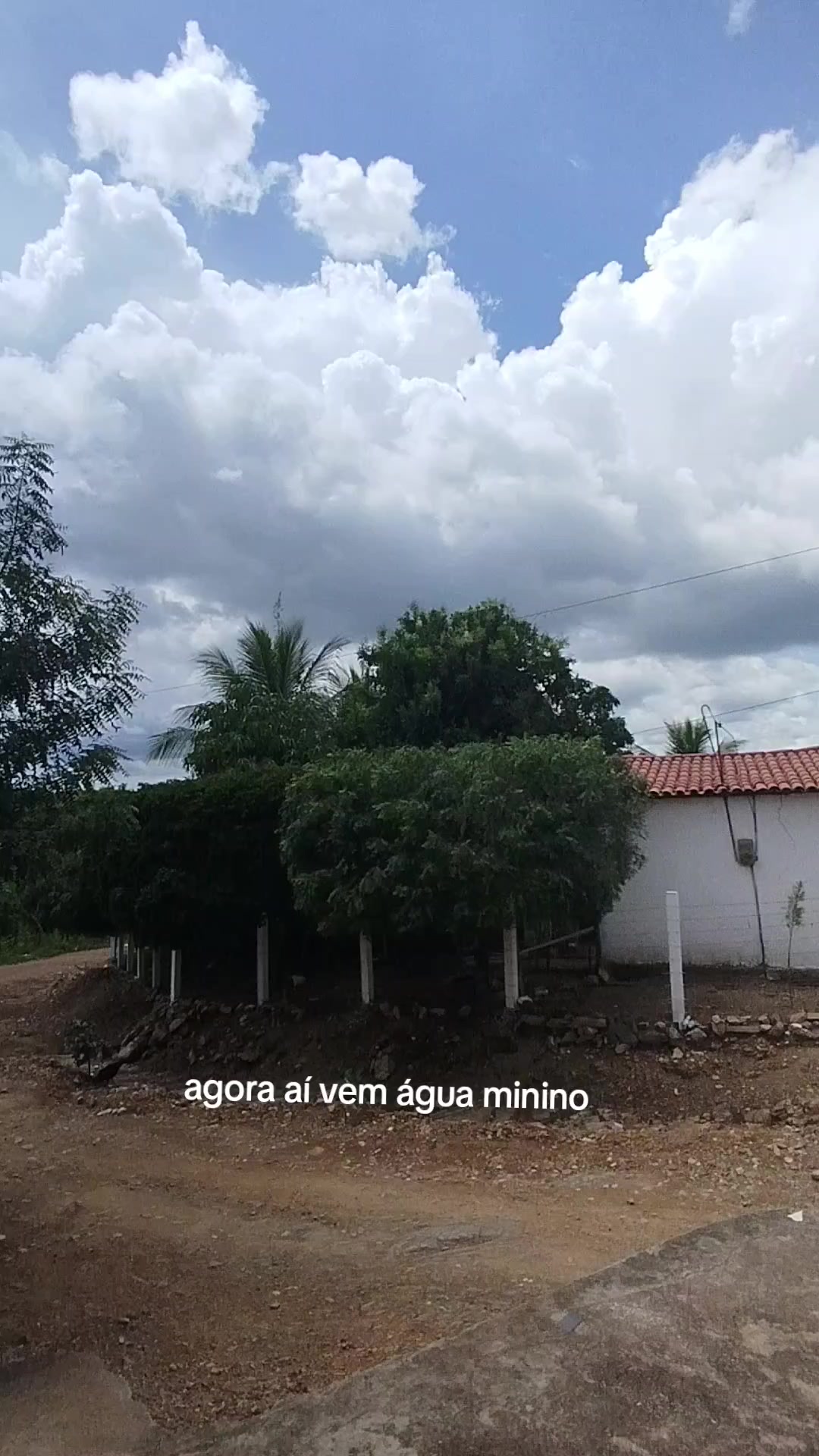 @Fátima Ferreira cosméticos