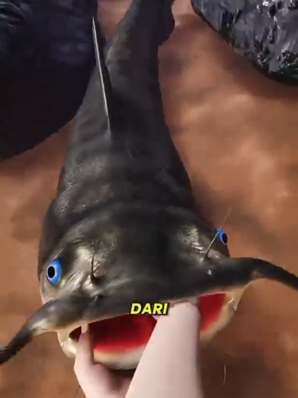 @MAFIA FISHING