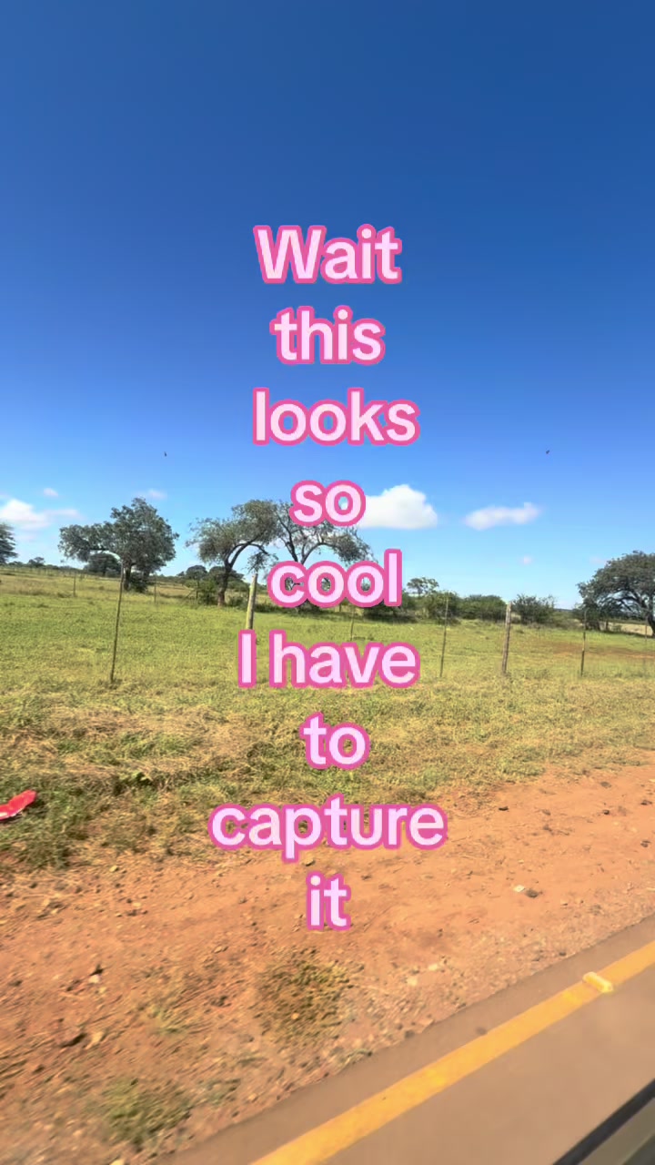 @Lufuno