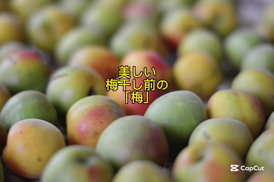 @マルン