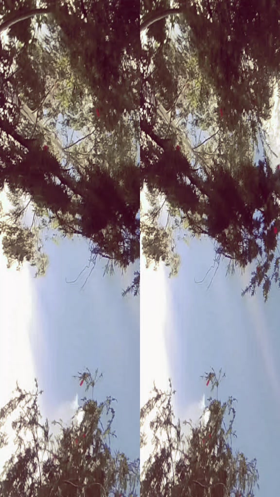 @༆မိစာဥ&bull;💥 ⃢ 😶&zwj;🌫️⃢:😝