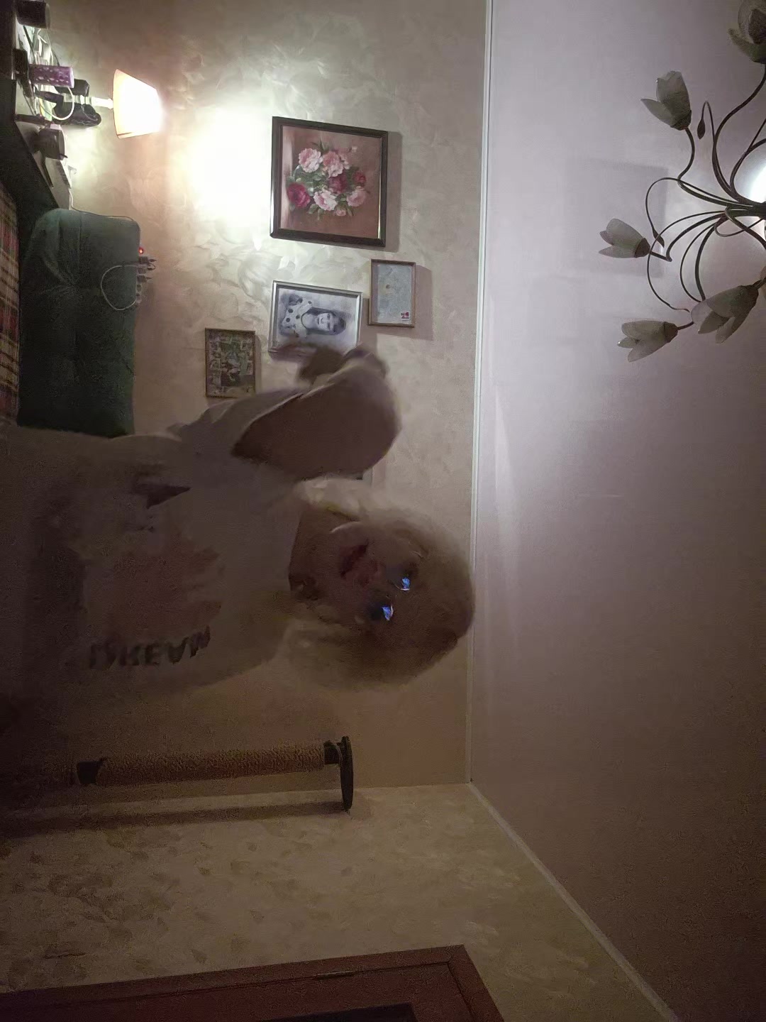 @Марга 🥱