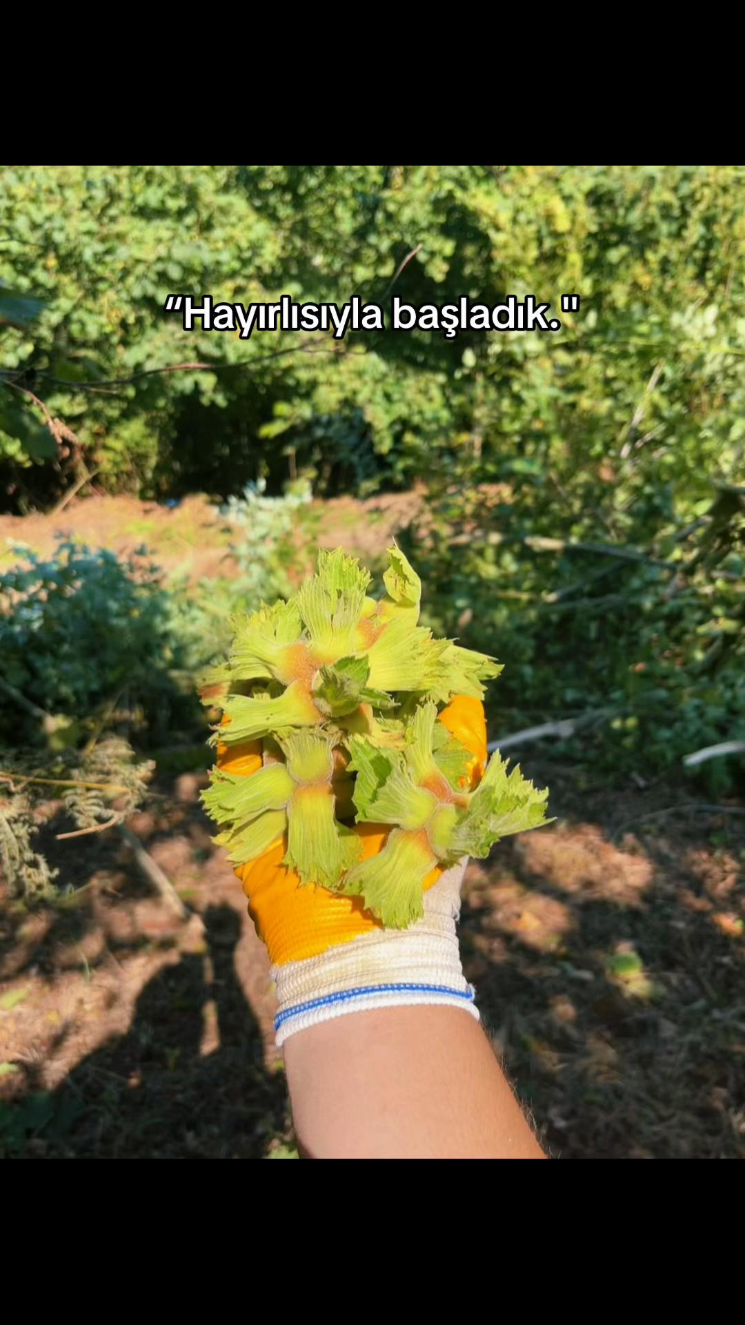 @Beytullah_şal
