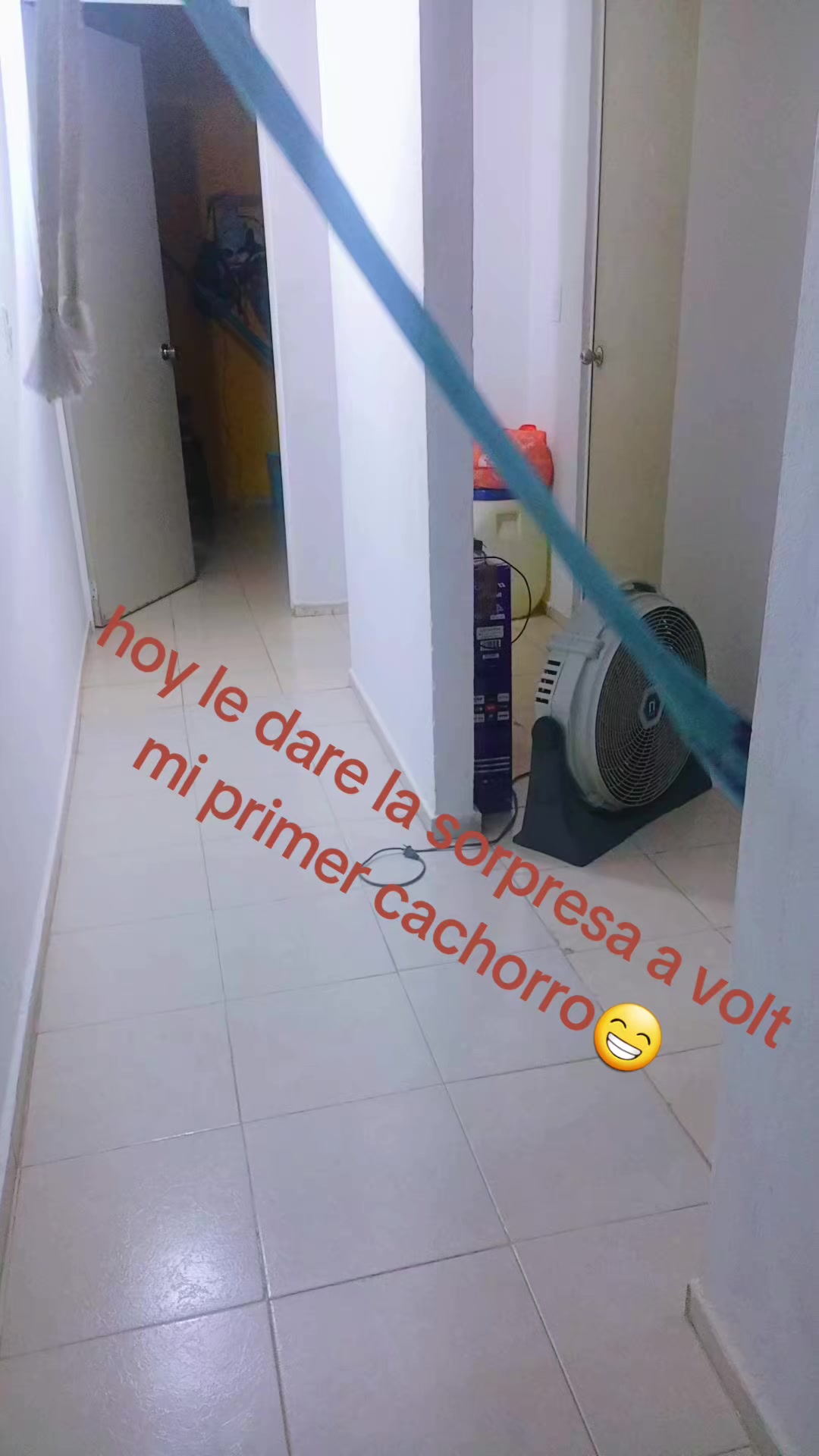 @Armando ilusiones 🤪