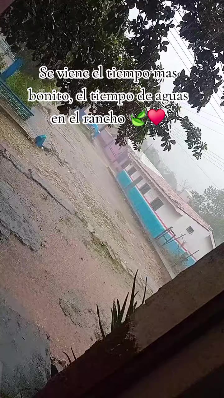 @👑🌈ALEJANDRA🌈👑