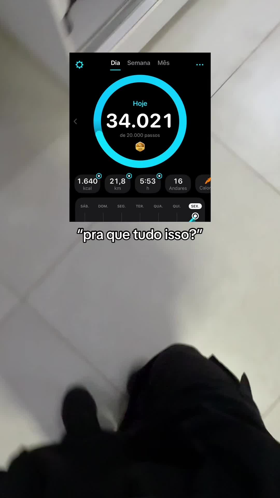 @bernardofreitass