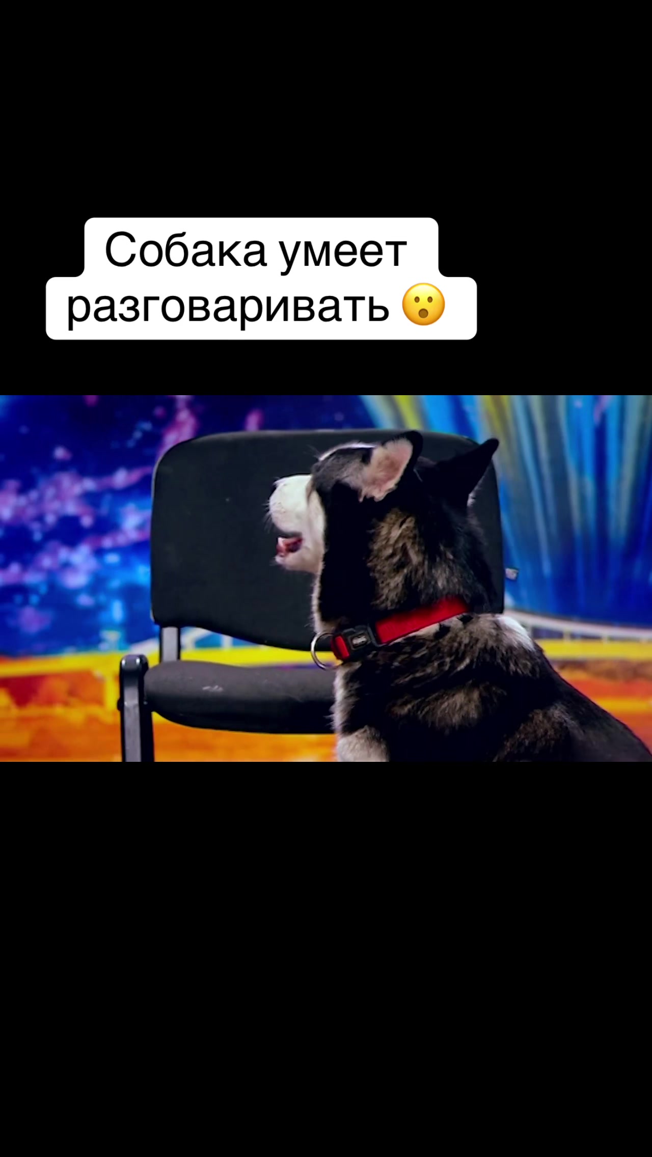 @gvardi11