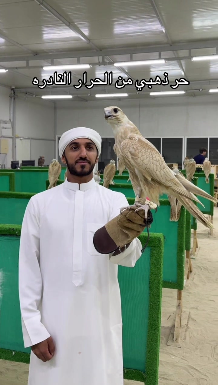 @محمد بن عاطن🦅