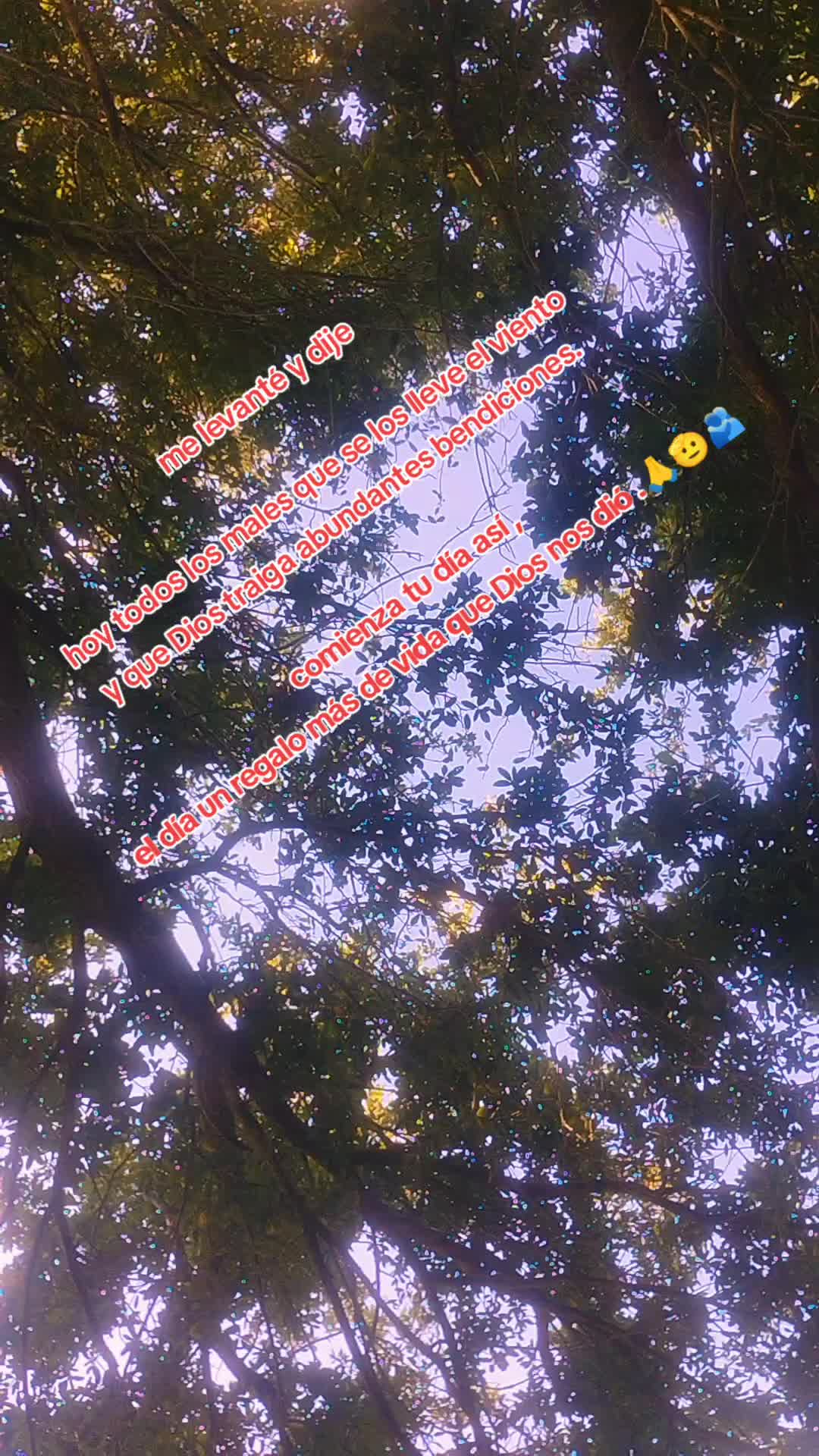 @(SERGIO/CONEX MUSICAL🎼🤛🌷💞)