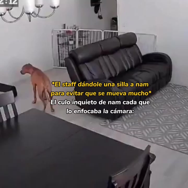 @TUNA ;]