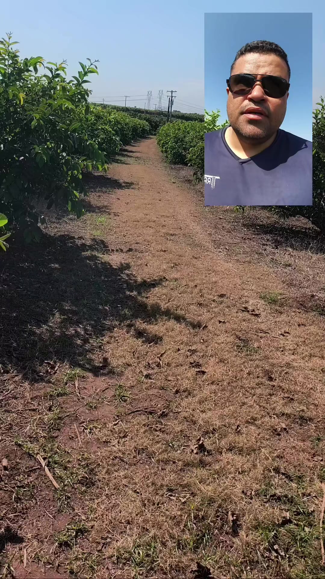 @Odair Chagas