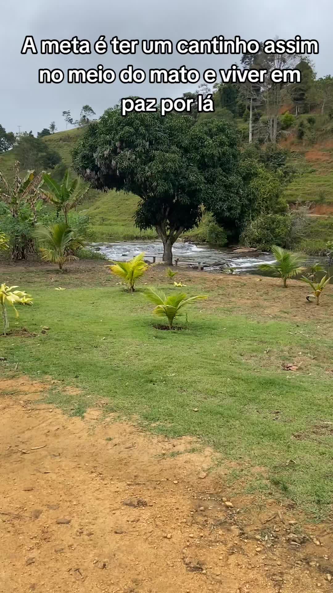 @Roça 🤠🌱