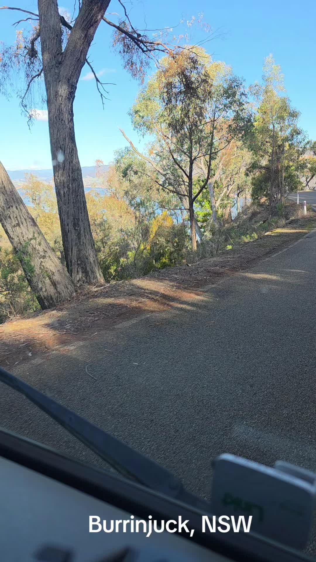 @AlexRocas🇦🇺🦘🐨🇸🇻🐲