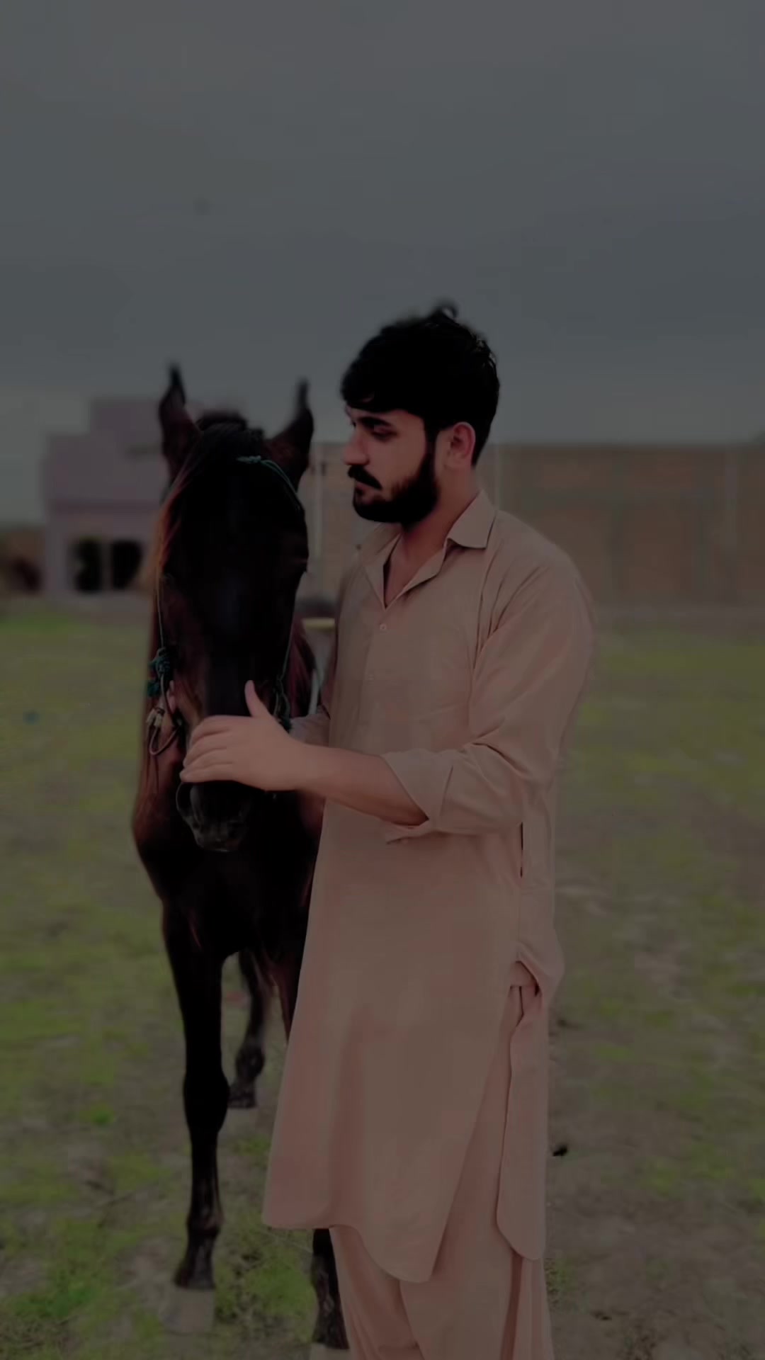 @shahwargujjar0