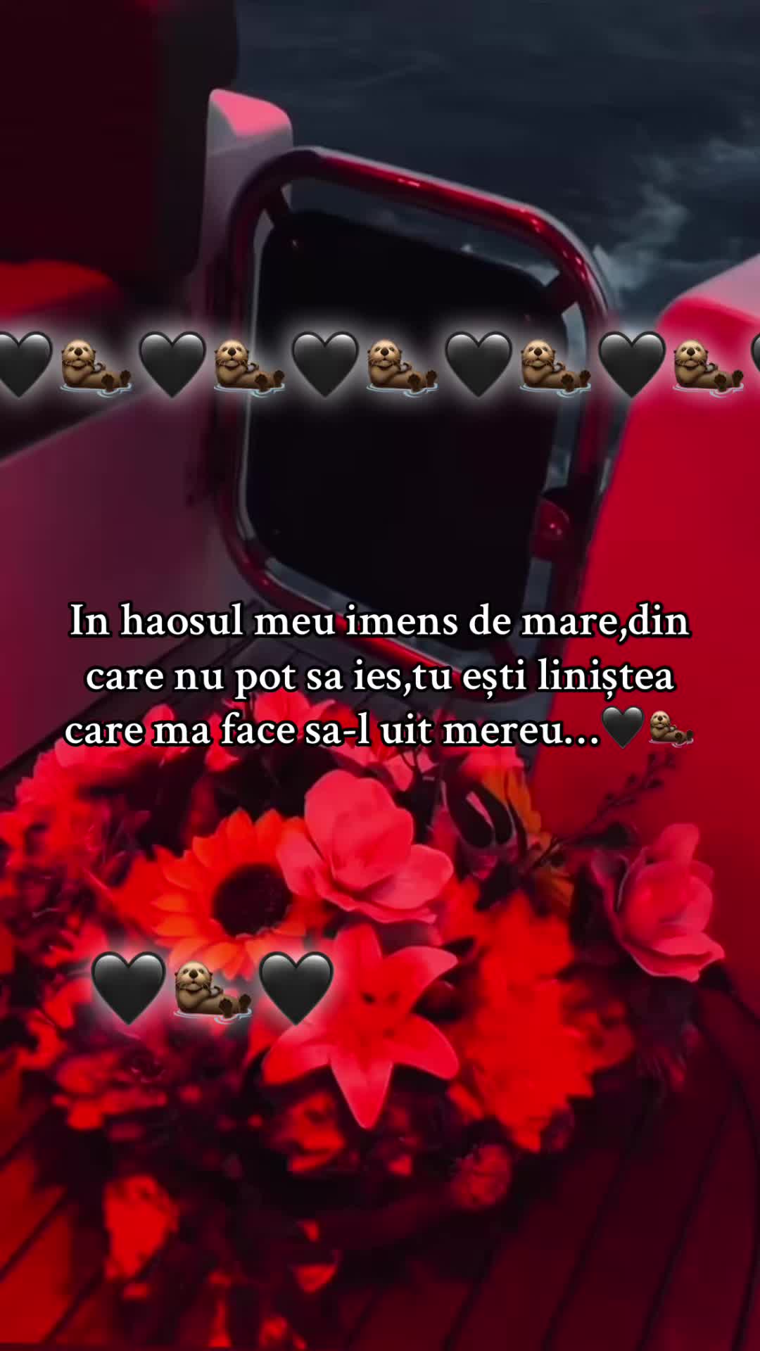@𝓩✨🖤