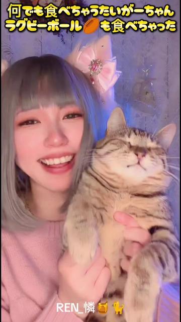 @ハグまくろ👒💓🍯🐈🎀🐾🐯