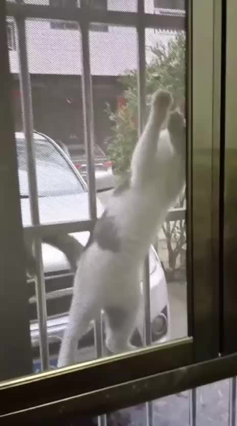 @Funny