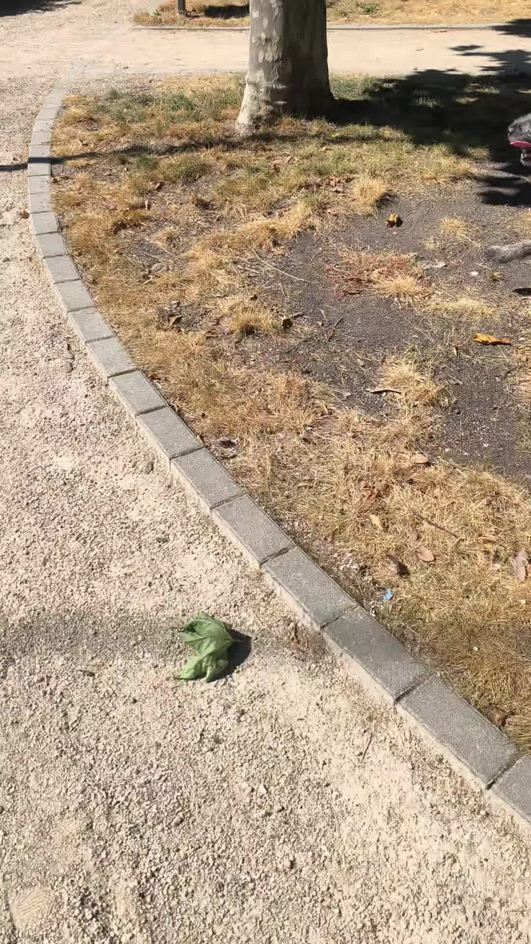 @Vani🦅🇩🇪
