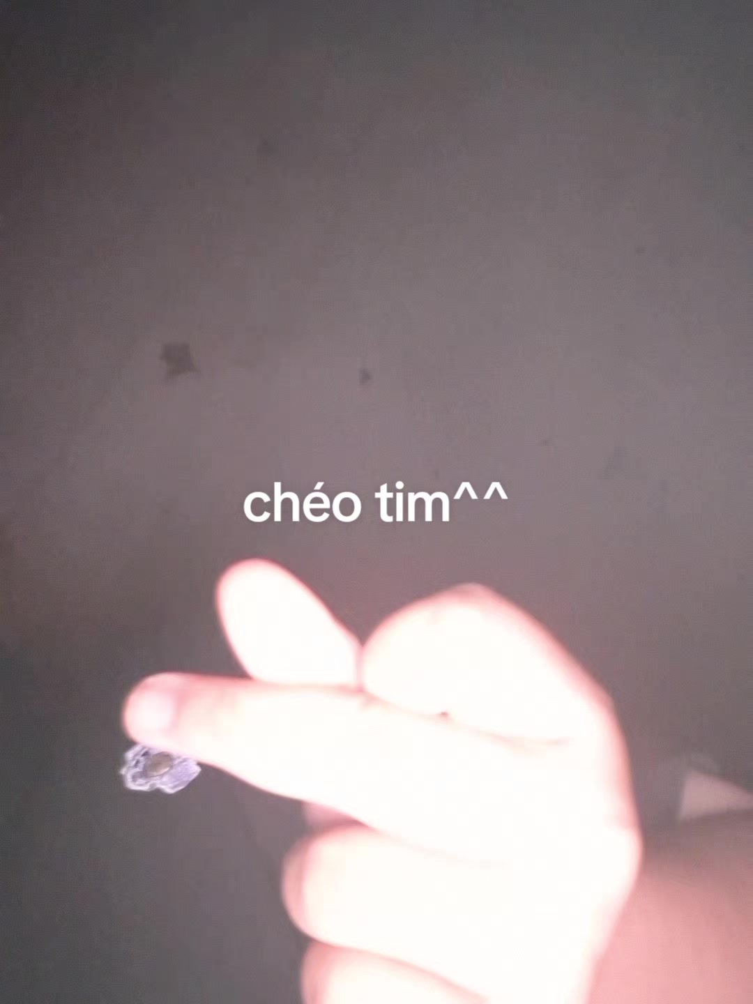 @titt.
