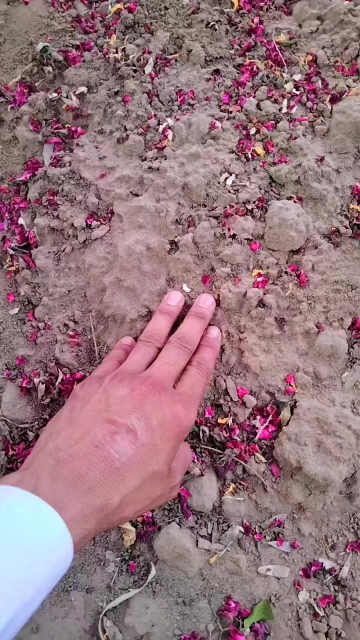 @عدیل احمد ججہ