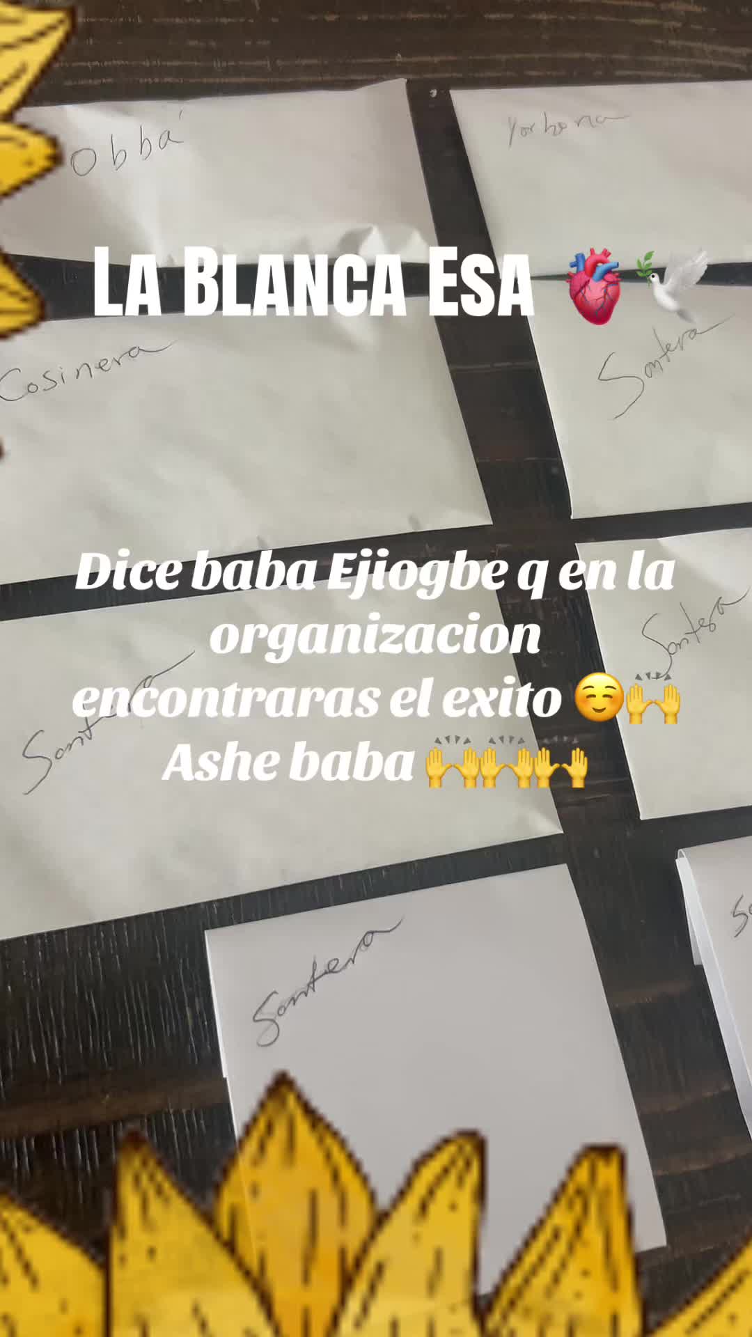 @Lacasadeeggun🤍🖤