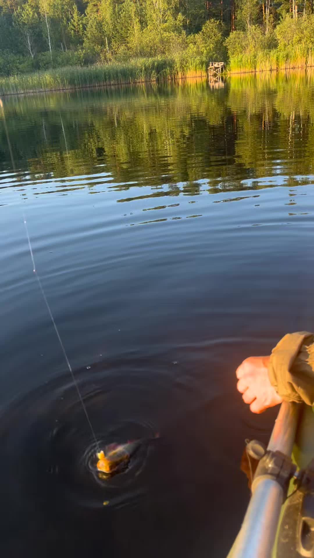 @(ЖОР)Жизнь Одного Рыбака