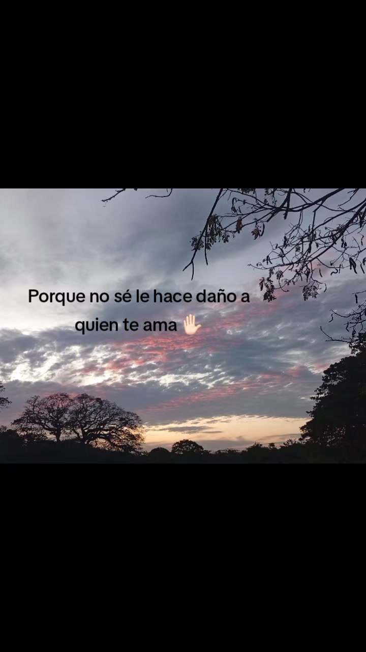 @💤GRA&Uuml;💤