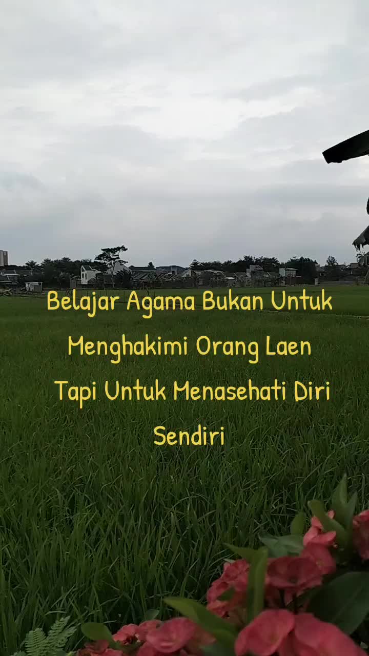 @👌